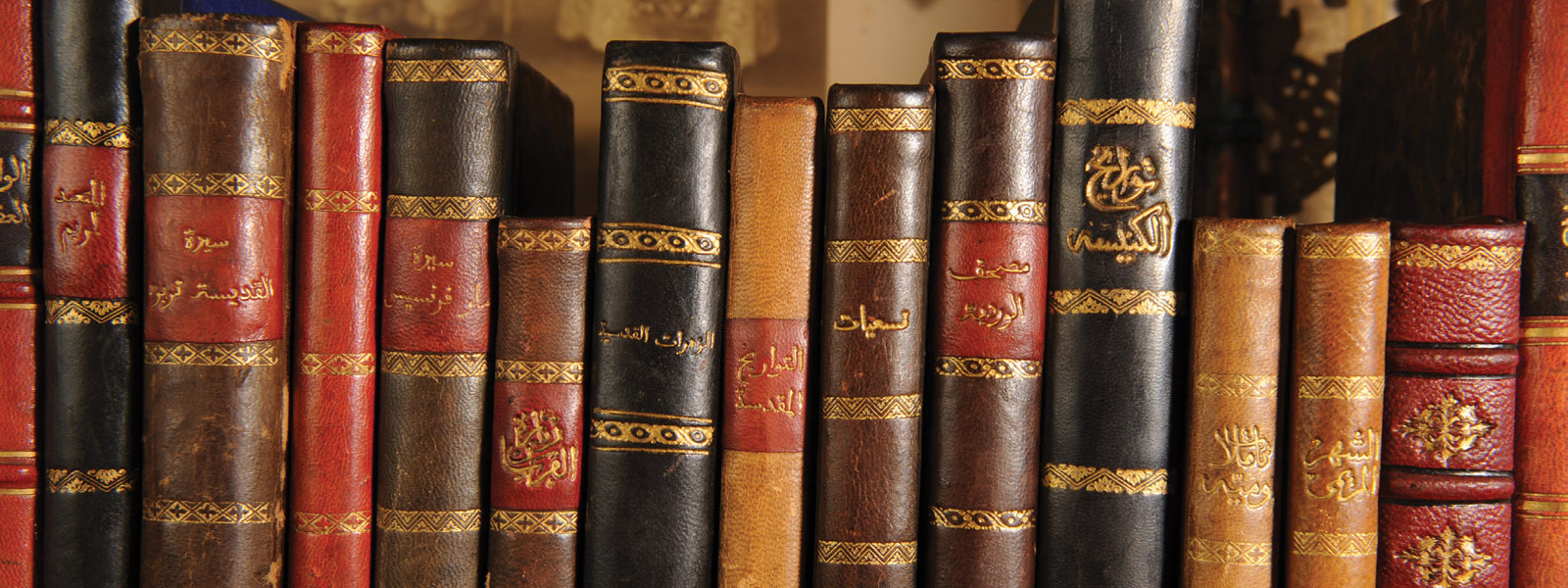 ancient-language books on shelf